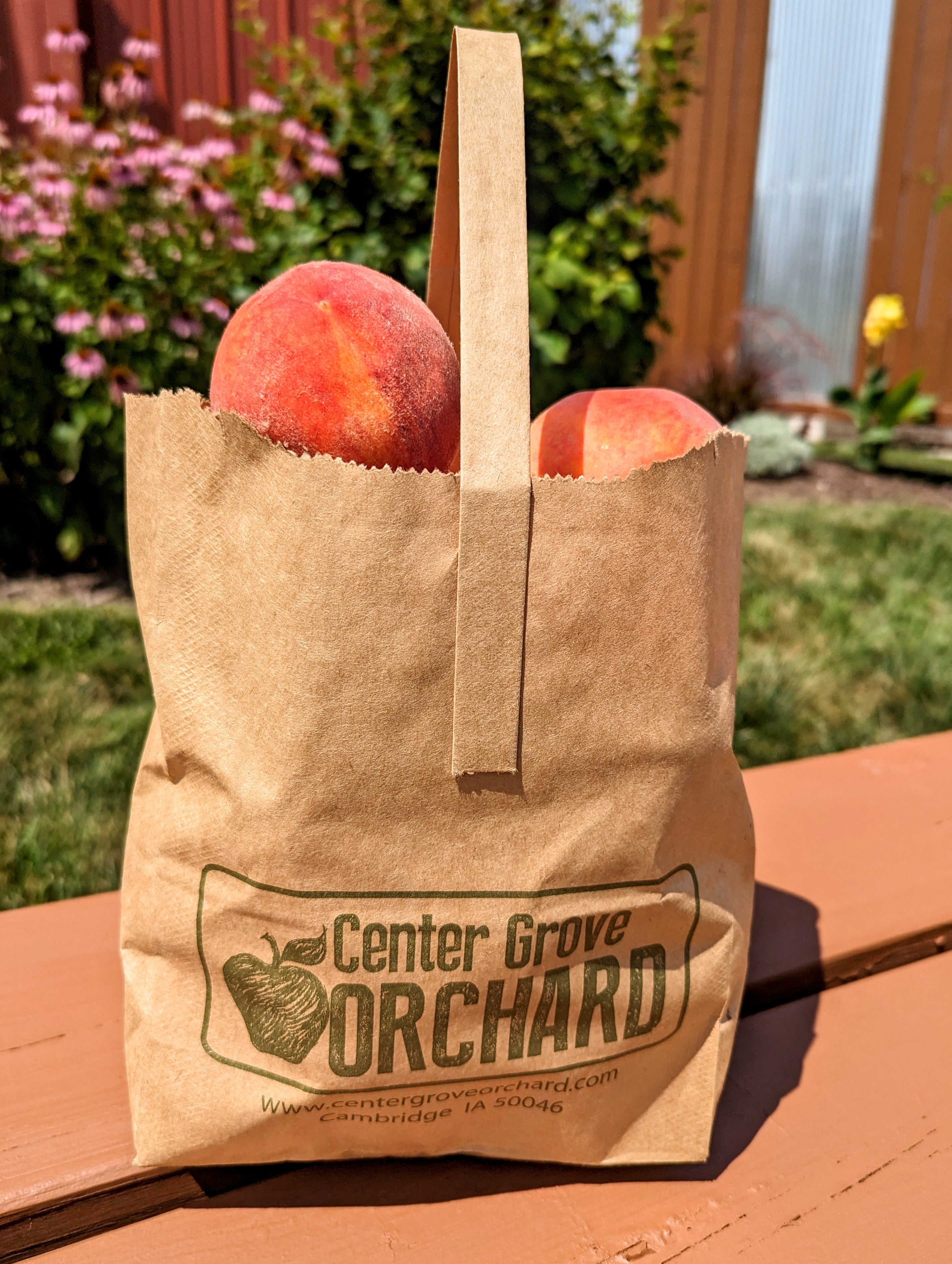 Peaches Center Grove Orchard