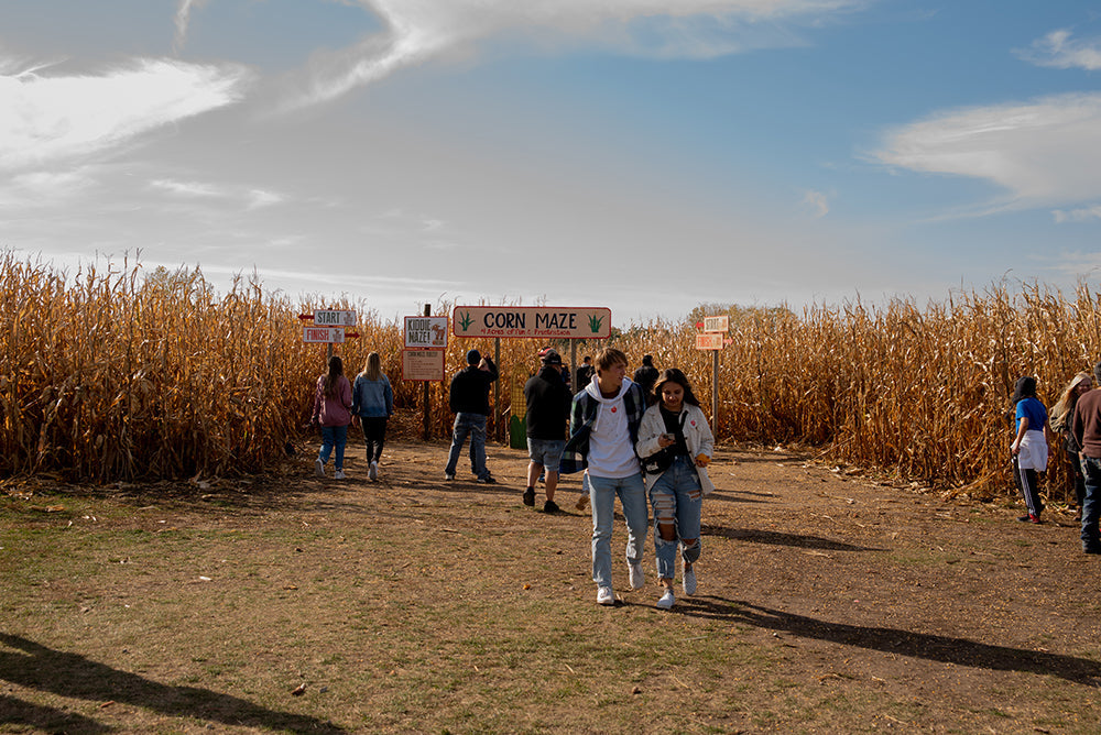 Corn Maze Near Des Moines: What to Know Before You Go