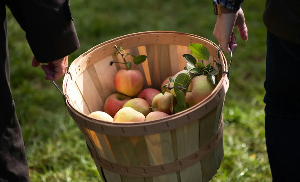 Iowa Apple Varieties: What's Ripe When, and How to Pick