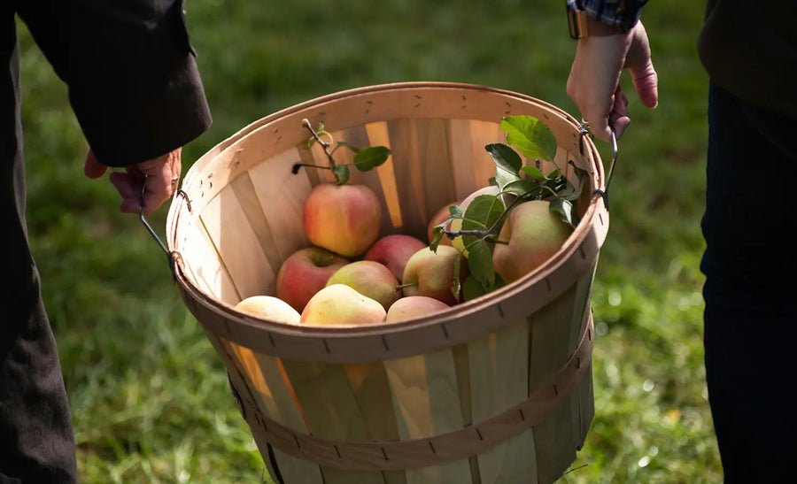 Iowa Apple Varieties: What's Ripe When, and How to Pick