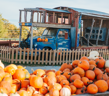 Pumpkin Tours