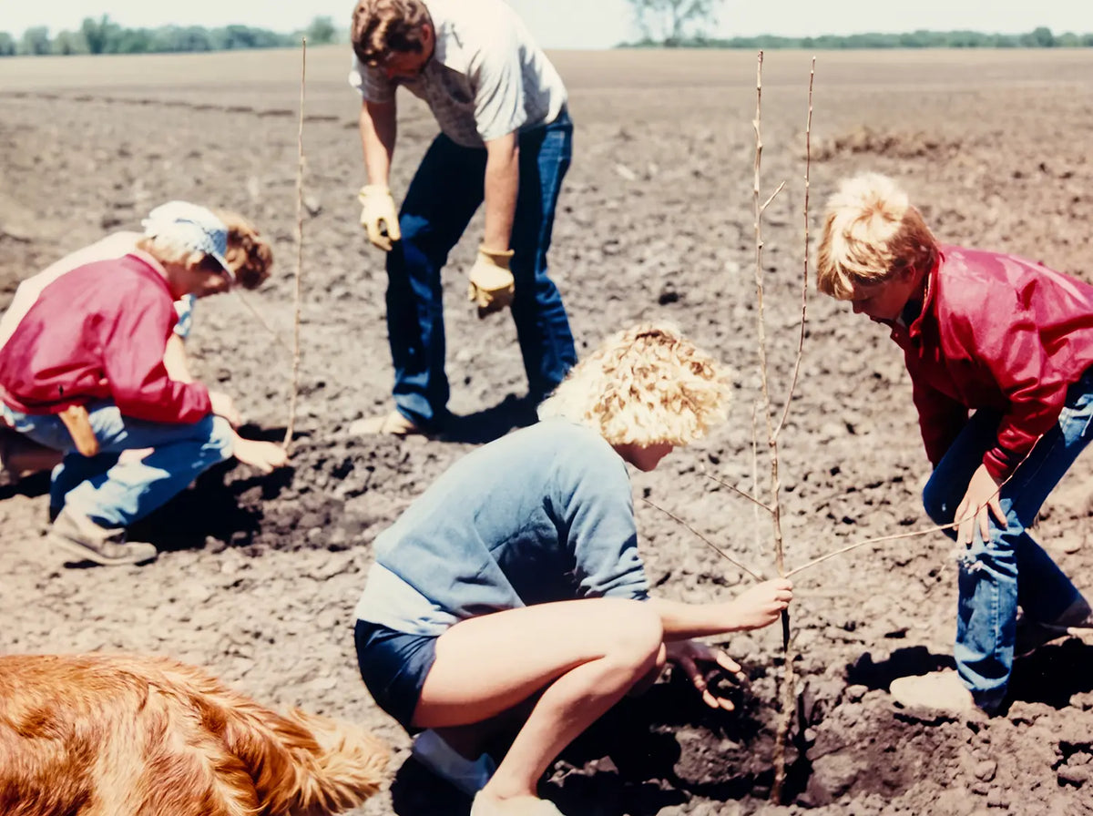 First Apple Trees Planted