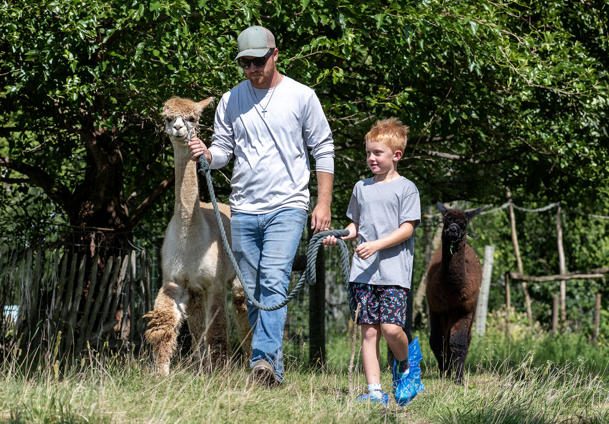 Alpaca Trekking