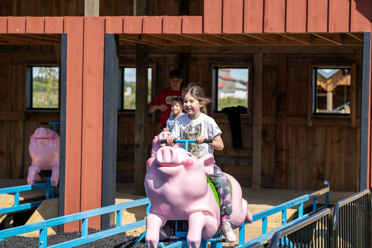 Barn Gliders