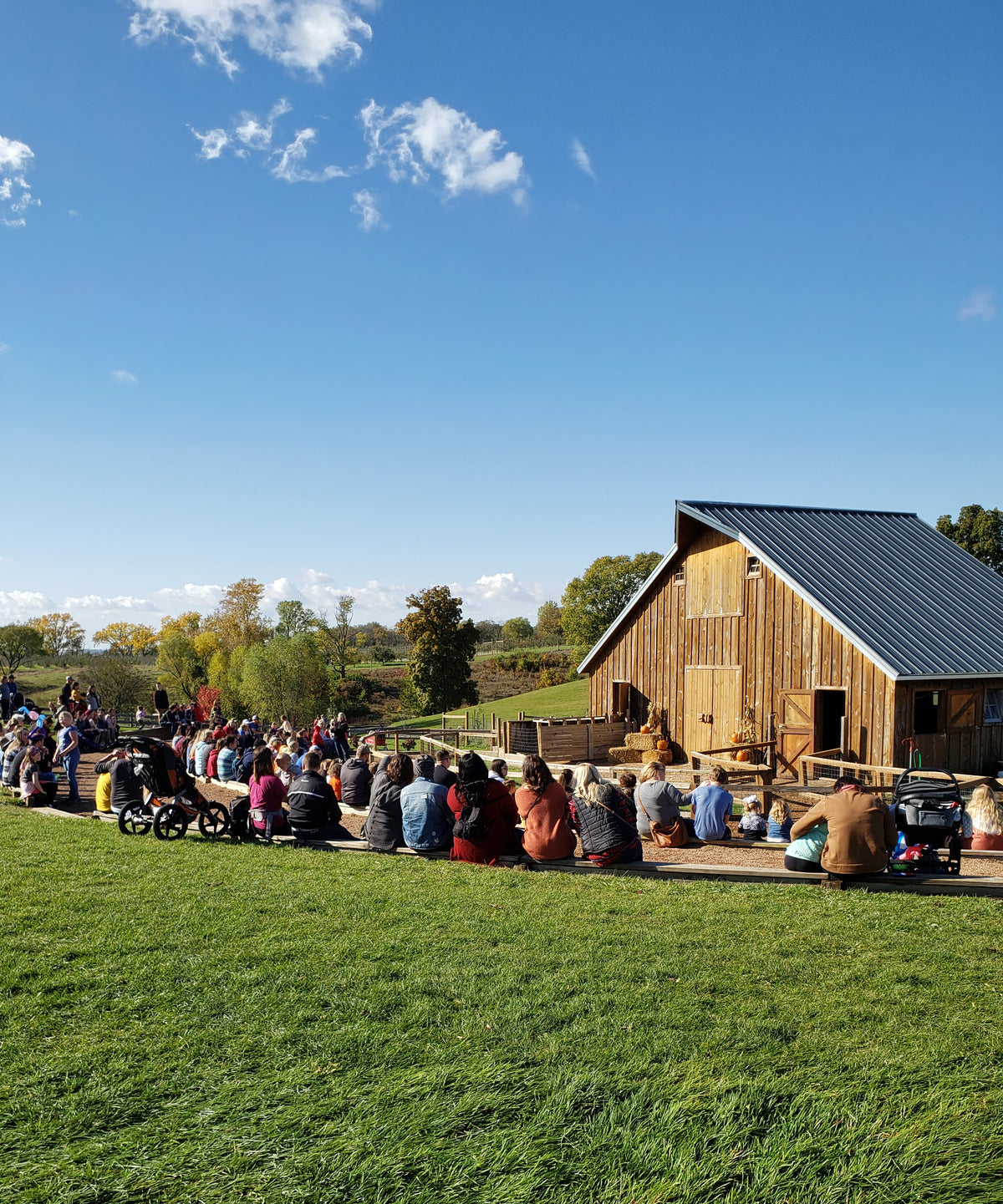 Barn Shows