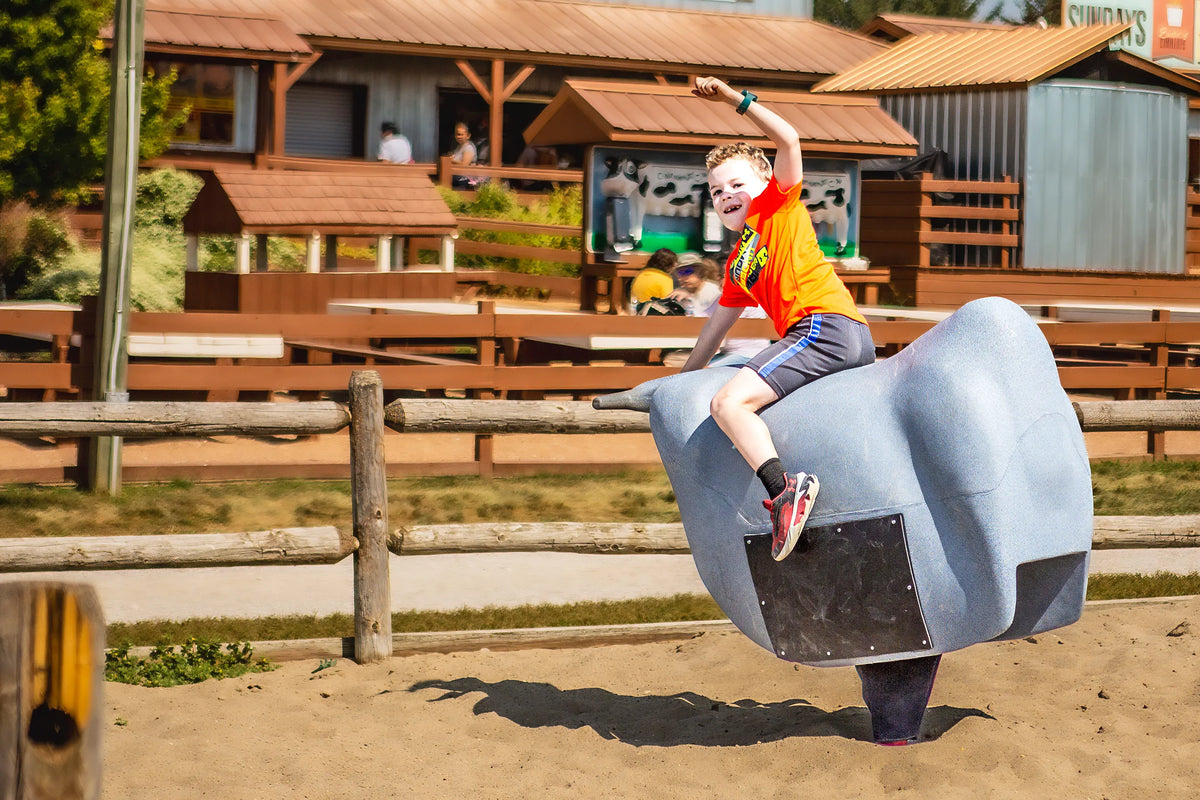 Bull Ride