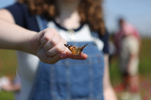 Butterfly on a person's hand with a blurred background