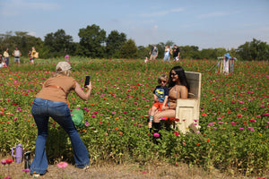 Woman taking a photo of a child in a wooden chair amidst a field of flowers.