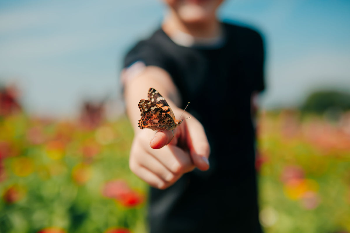 Butterfly Release