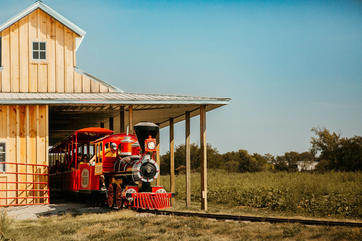CGO Express Train