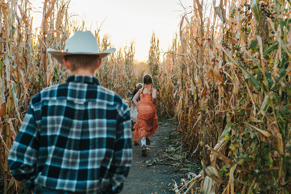 Kids in the corn maze at Center Grove Orchard in Cambridge, Iowa