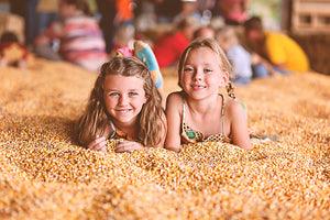 2026 Fall Weekend Admission