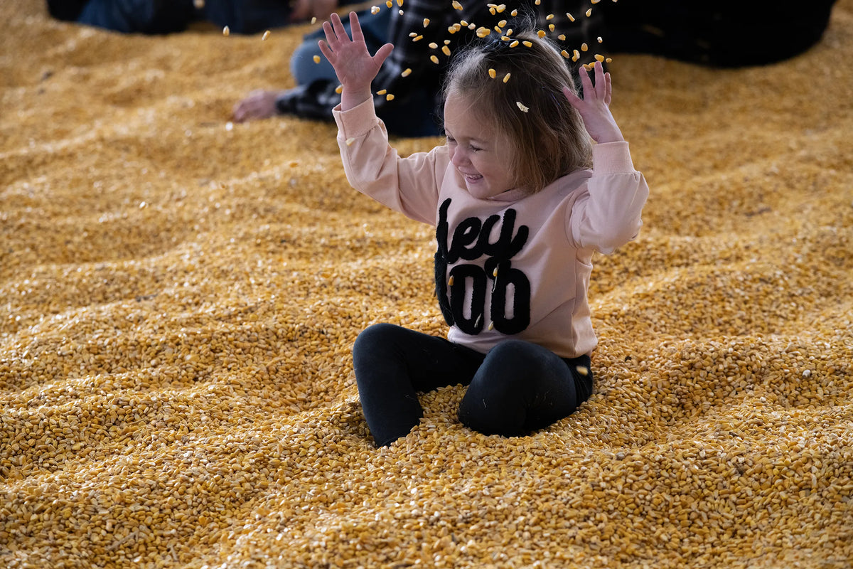 Corn Pool