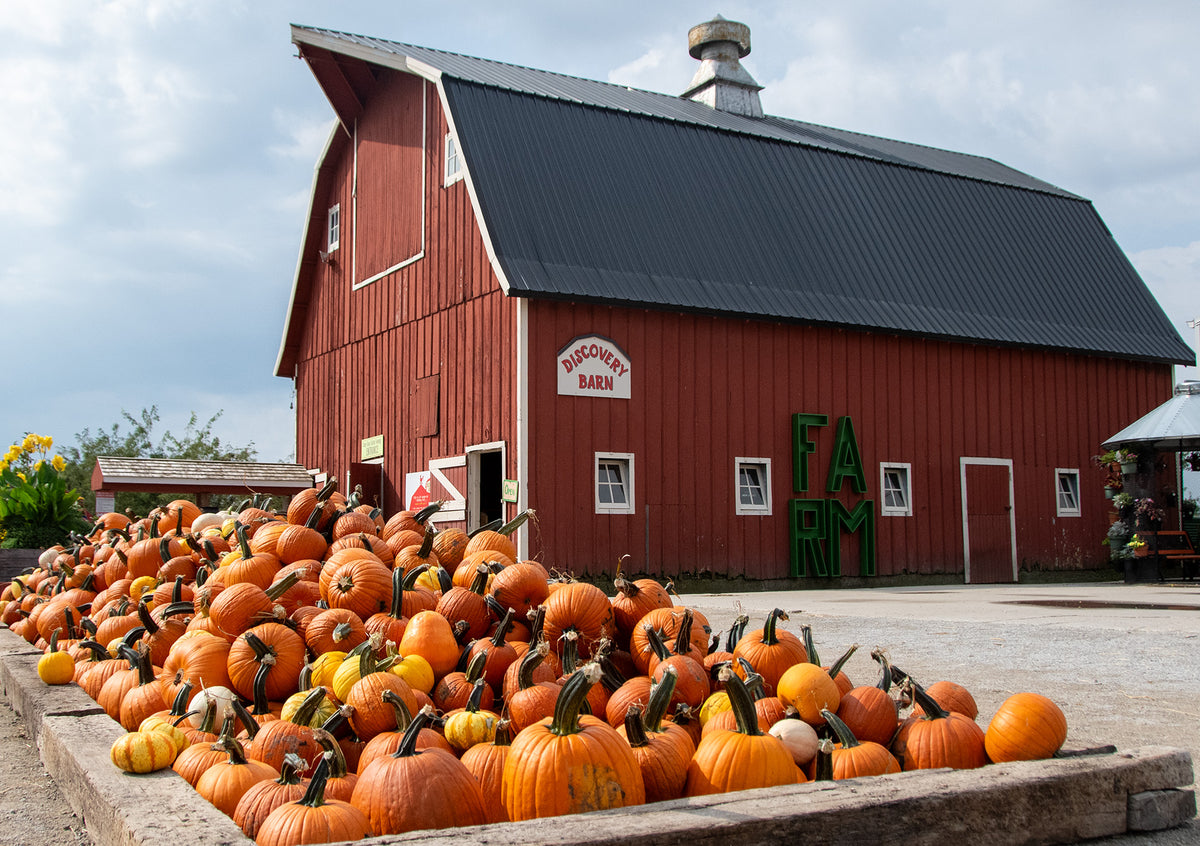 Discovery Barn
