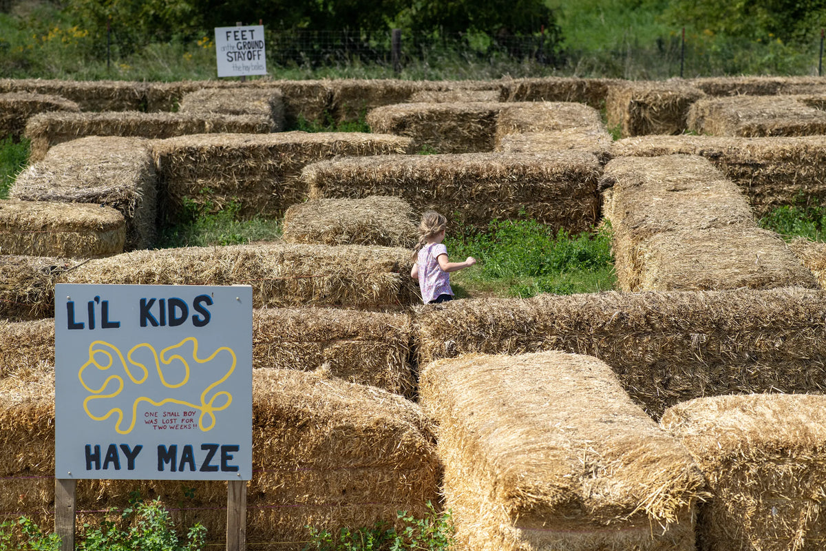 Hay Maze