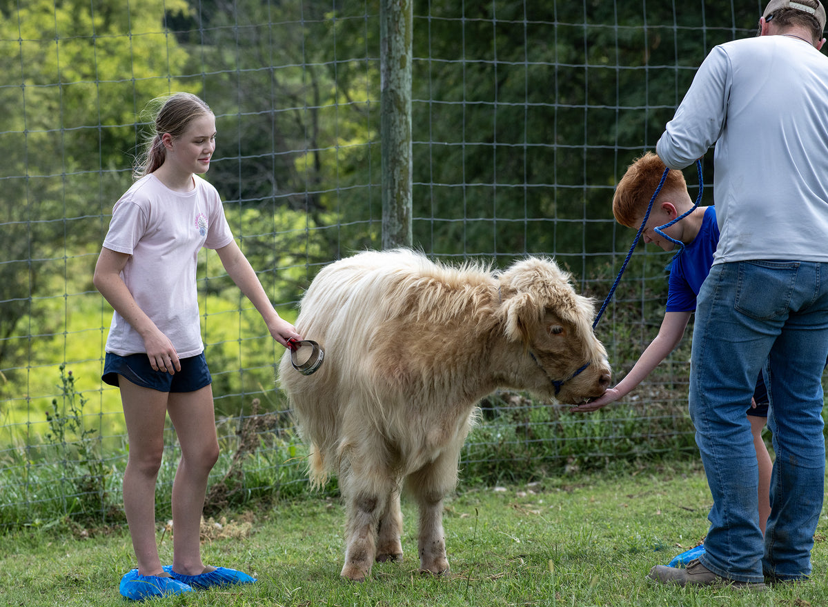 Animal Encounters