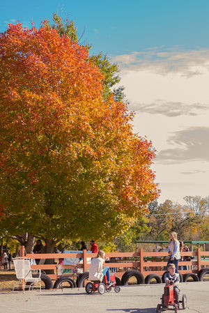 2026 Fall Season Pass