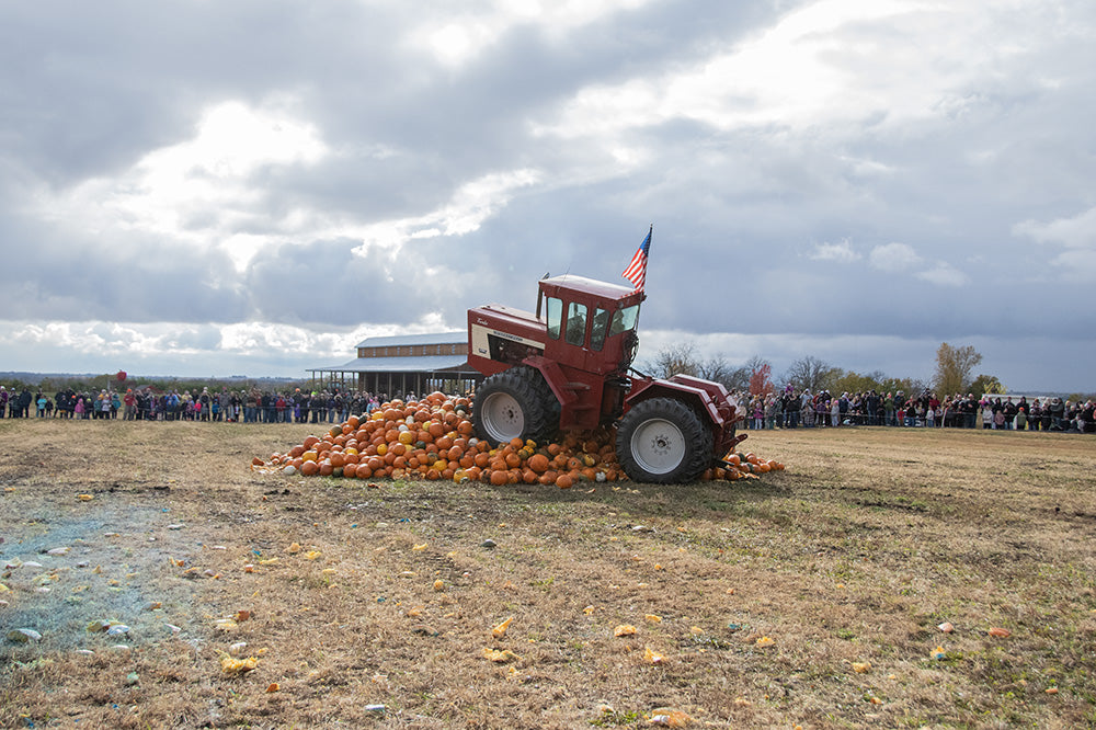 Pumpkin Destruction at Center Grove Orchard in Cambridge, Iowa