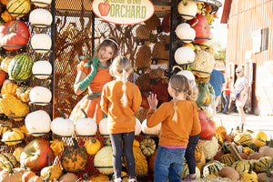 2026 Fall Weekday Admission