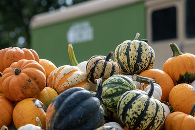 Pumpkins