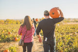 Pumpkins