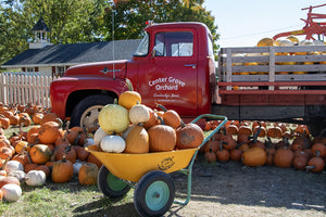 2026 Fall Season Pass