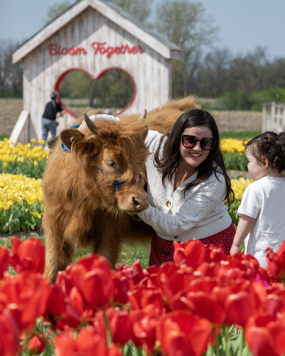 Spring on the Farm