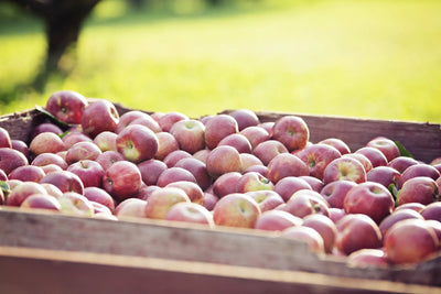 Apples