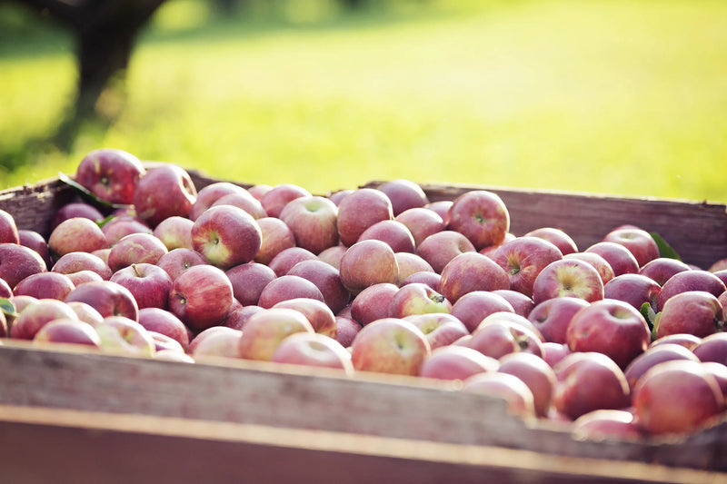 Apple Tours