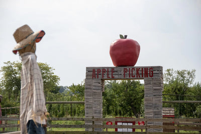 Apples