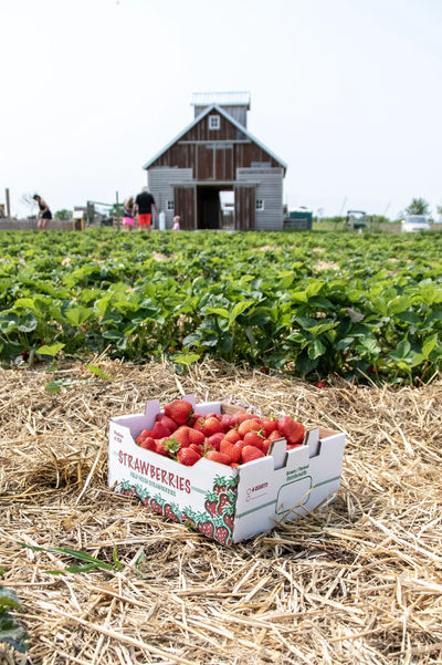 Strawberries