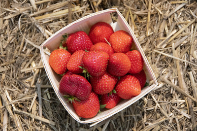 Strawberries