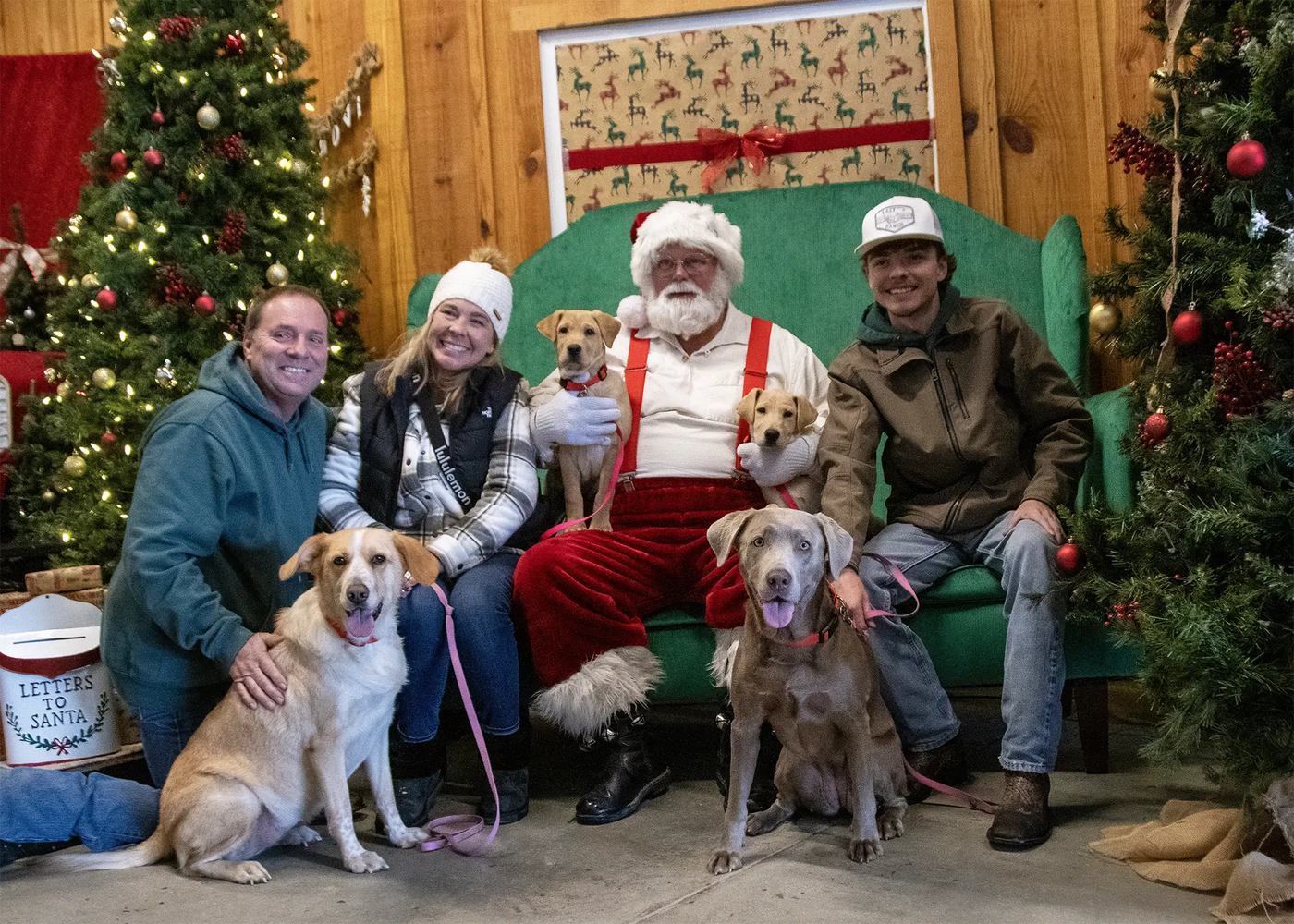 Santa with Pets