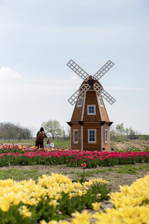 Spring