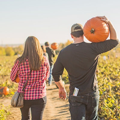 Pumpkins