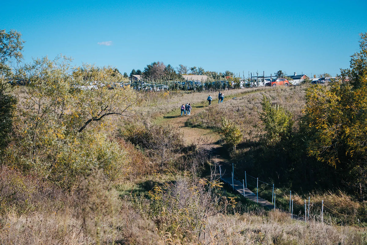 Walking Trail