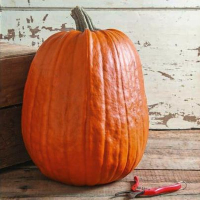 Pumpkins